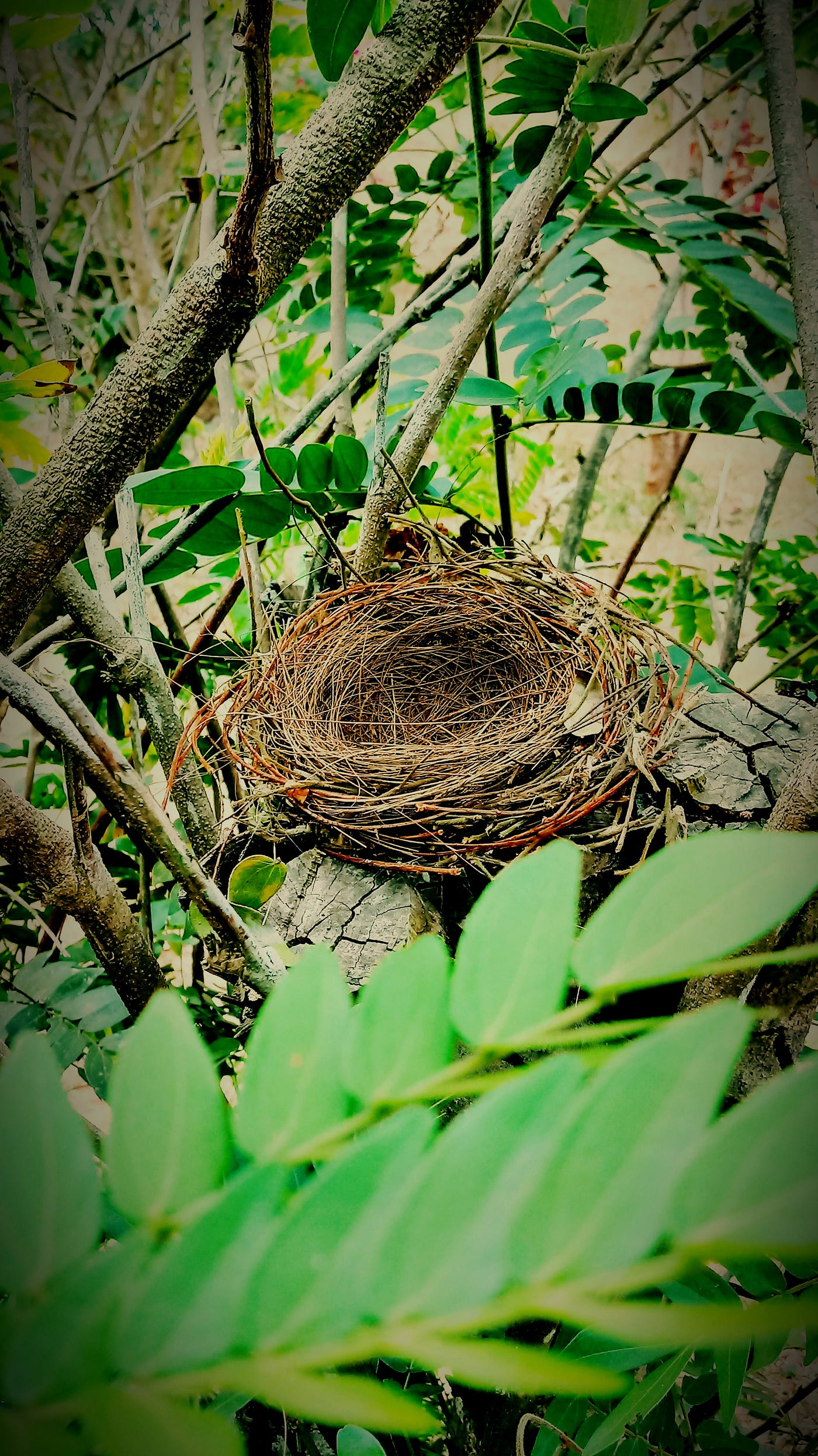 Empty Nest Syndrome Signs