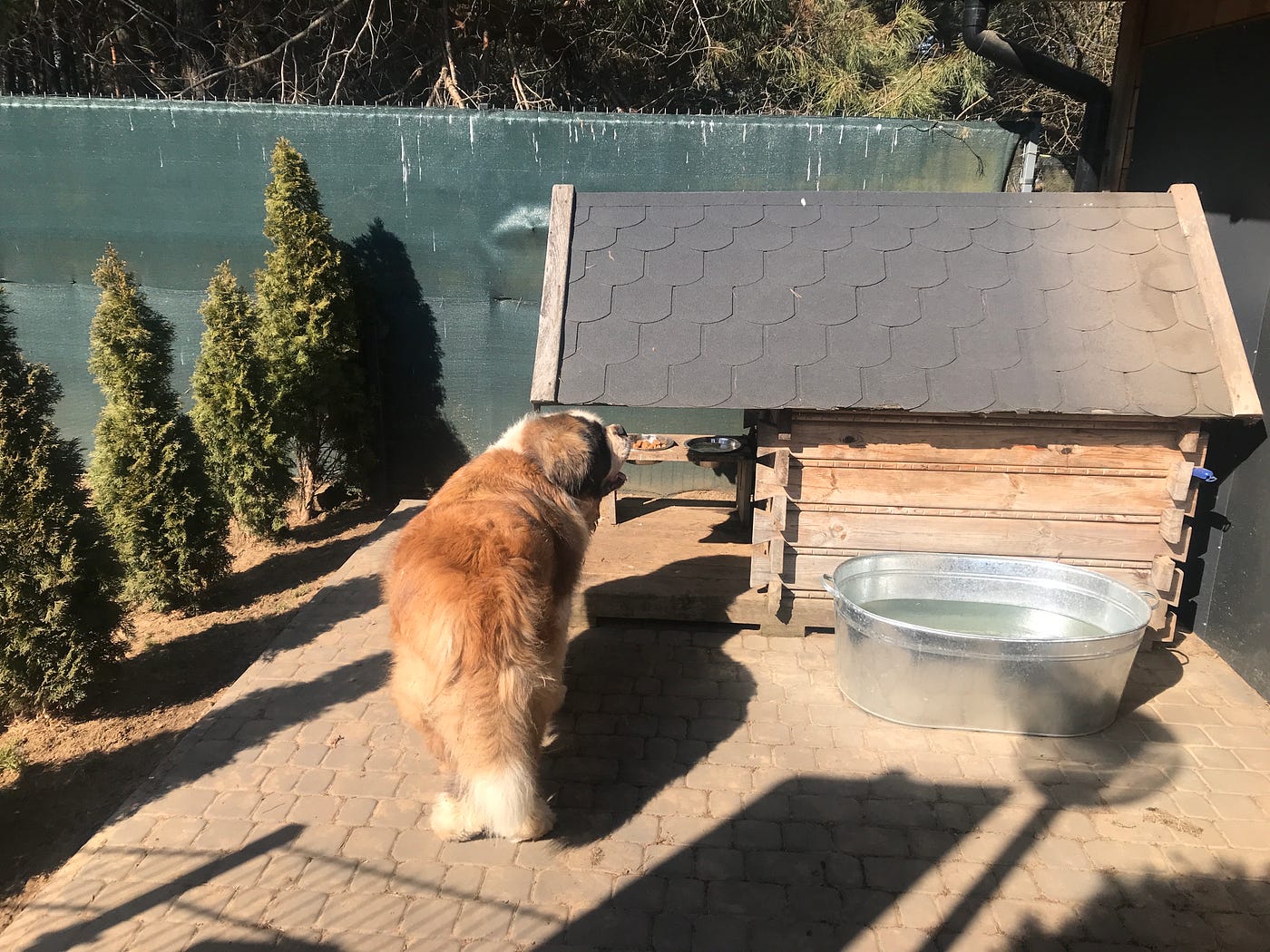 Cool Dog Houses For Dog Lovers. These dog houses have unique features