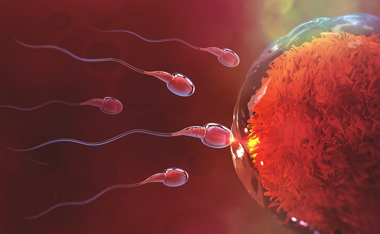 Forced Sterilization Not the Miracle Remedy