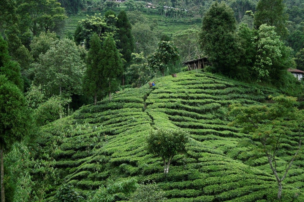 The Best Places to See on Java. The heart of Indonesia, Java, is one of 