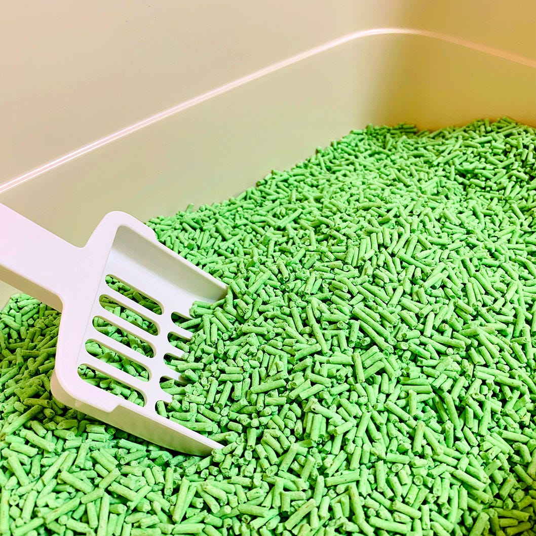 environmentally friendly cat litter