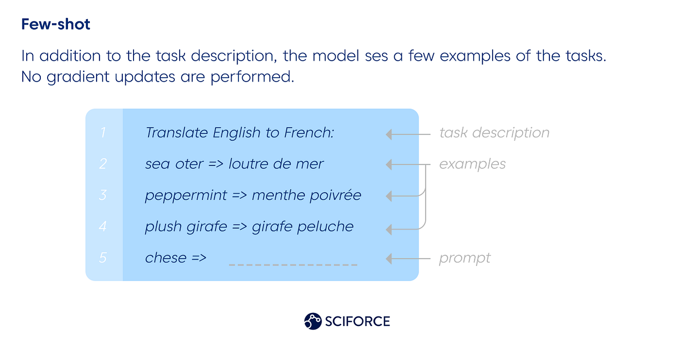英語からフランス語への翻訳の DL 力学