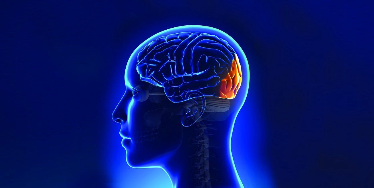 The Science Behind Motion Blindness by Rebeca Ansar An Amygdala