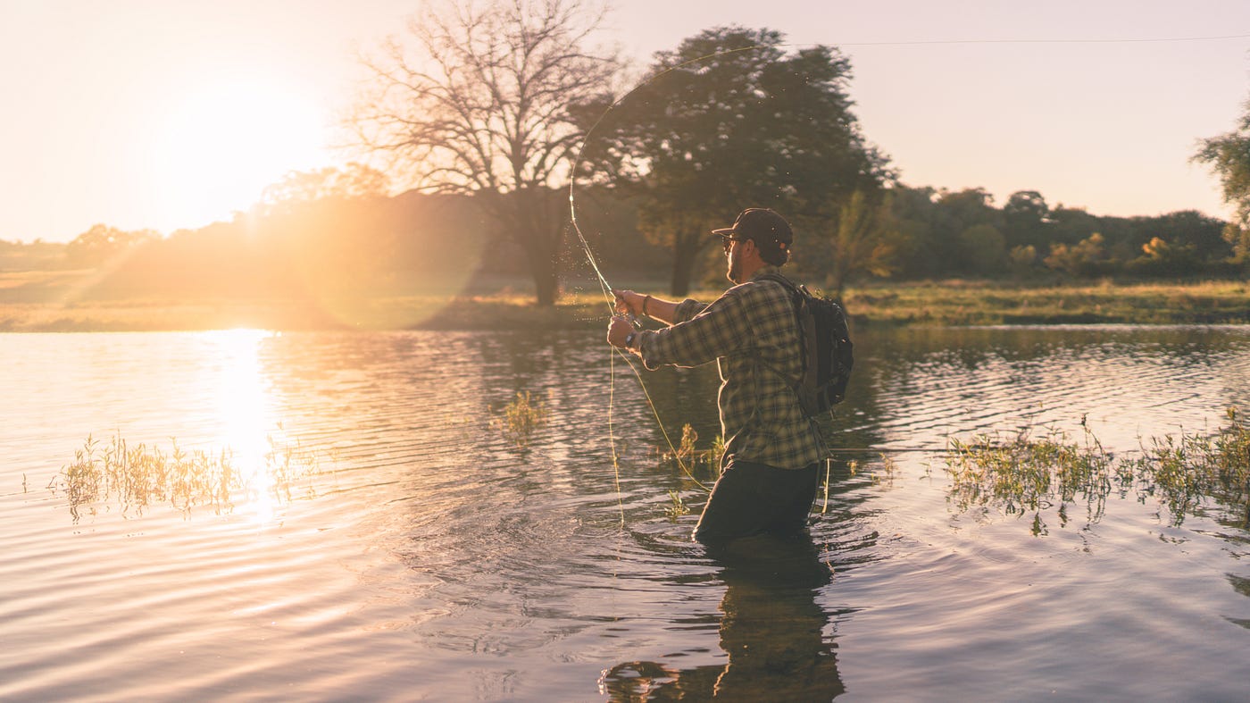 Eating Small Fish is Healthier | In Fitness And In Health