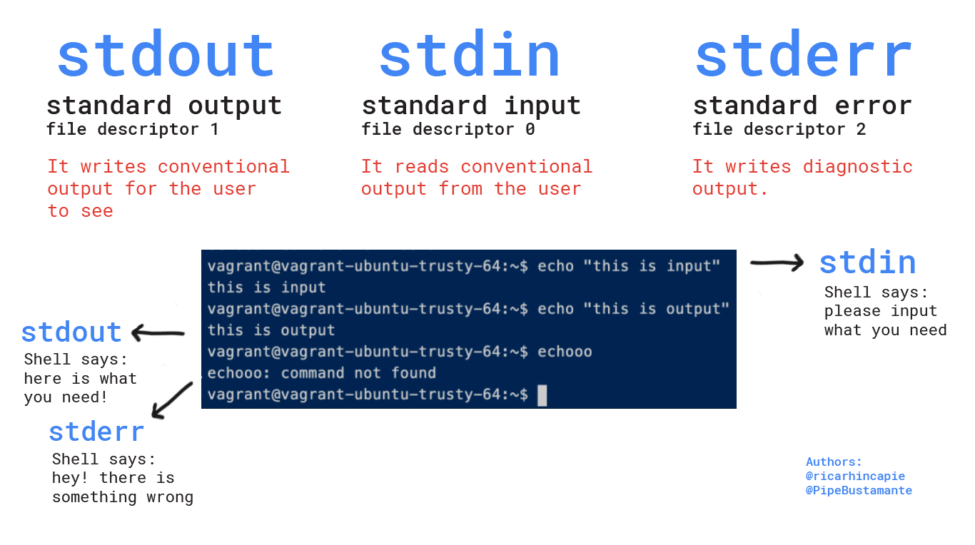 Tutorial to code a simple shell for beginners in C  The Startup