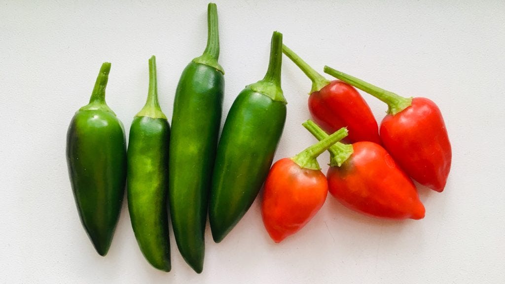 The 50 Best Plants to Grow Indoors by Pure Greens Arizona LLC Medium