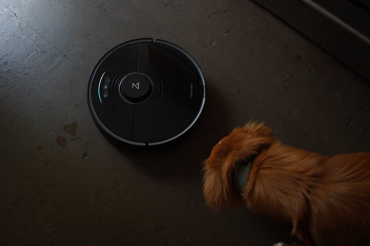 Will A Roomba Pick Up Dog Hair