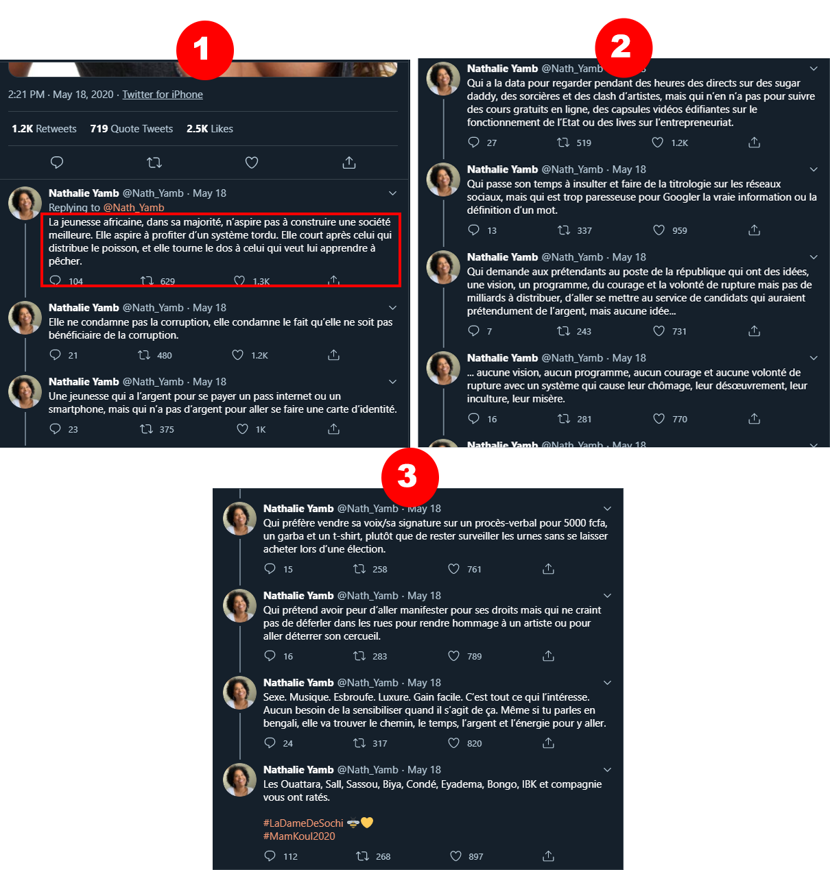 Vrai Nathalie Yamb A Aprement Critique La Jeunesse Africaine Dans Un Tweet By Pesacheck Pesacheck
