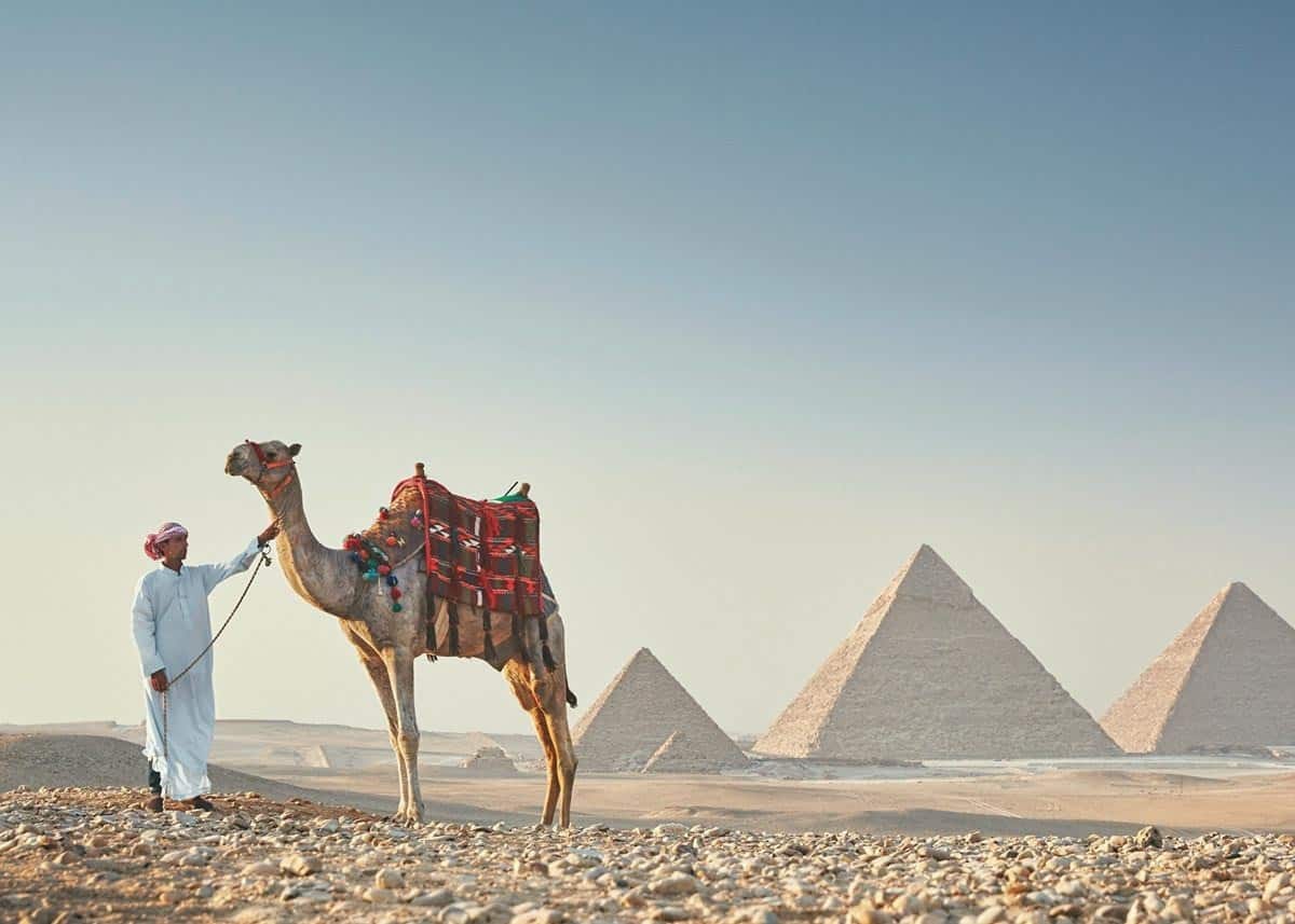 With its unique historical legacy, Egypt is a great place to be. 