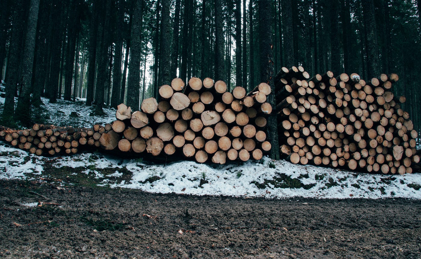 Why Should You Care About Logging? | by That Data Bloke | Towards Data
