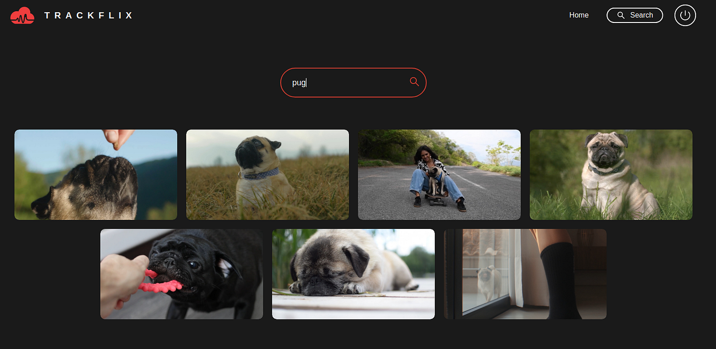 Trackflix search page screenshot