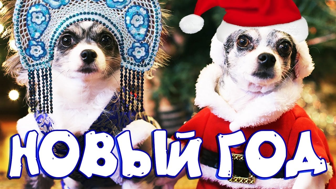 Новый Год Без Людей Новый Год Без Людей