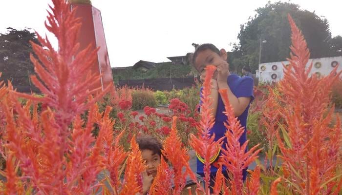 Taman Bunga Beurawe Wisata Baru Di Kota Banda Aceh