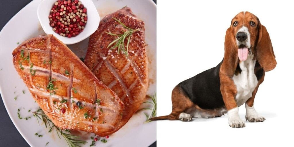 is duck bad for dogs