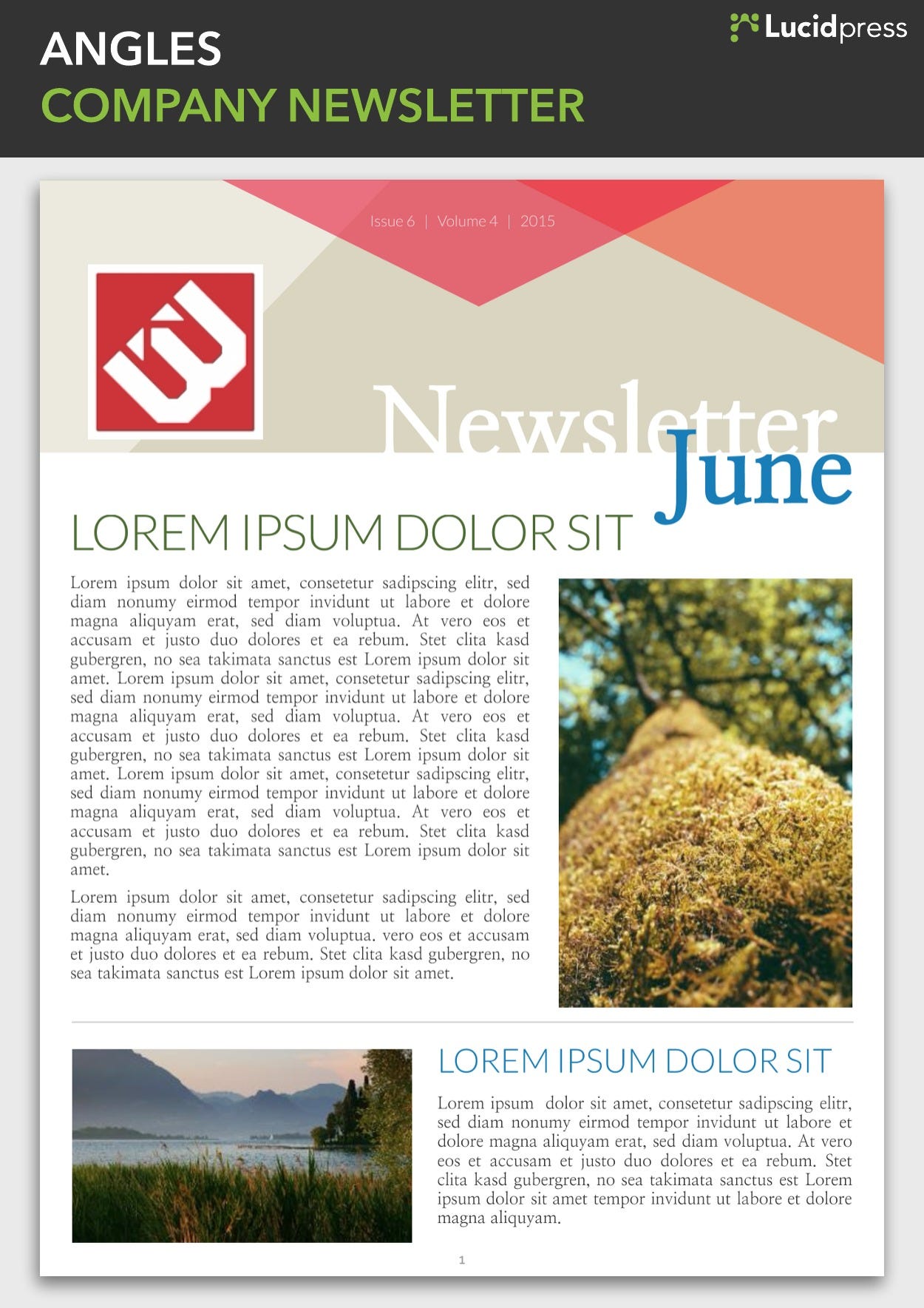 13 Best Newsletter Design Ideas Choosing The Right Newsletter Design By Lucidpress Lucidpress Medium
