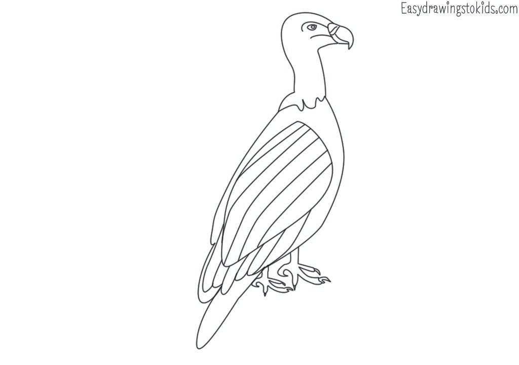 Top 21 Birds Drawings with their names (Birds coloring pages) by Artist Mind Medium