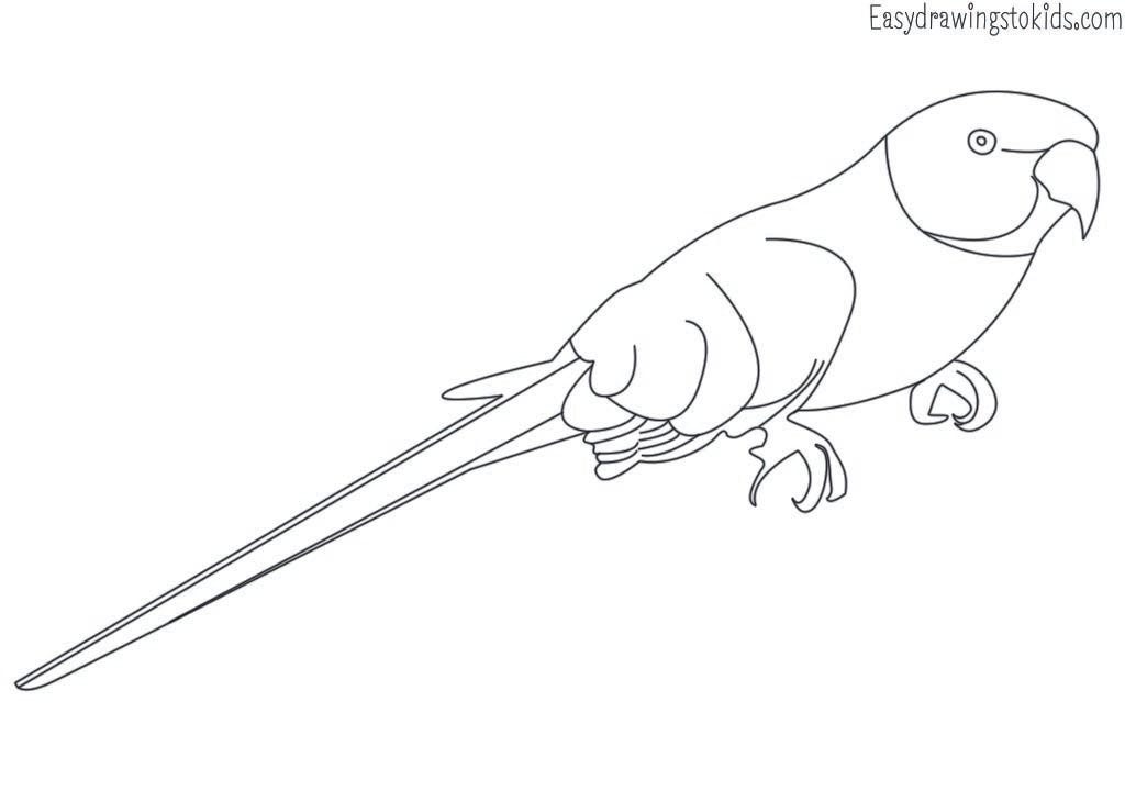 Top 21 Birds Drawings with their names (Birds coloring pages) by Artist Mind Medium