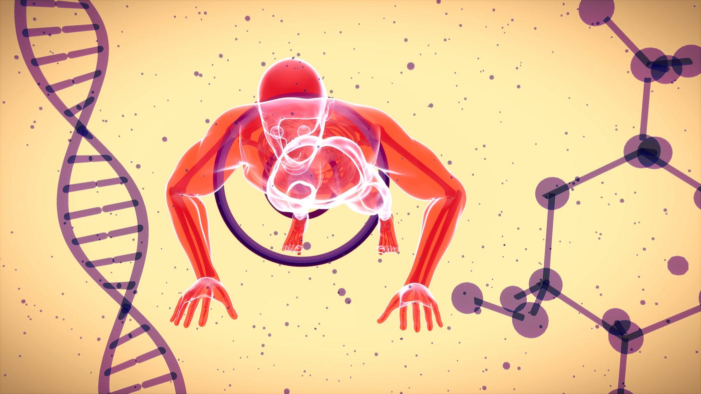 Cartoon of a red-colored man facing us as he does pushups. There is a double-helix DNA strand to the left of the image and a single-strand-long molecule to the right. Lifestyle (including diet and exercise) appear to change epigenetics, slowing aging.