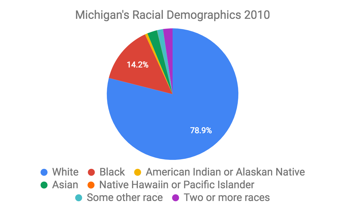 chart of michigan's 2010 demographics