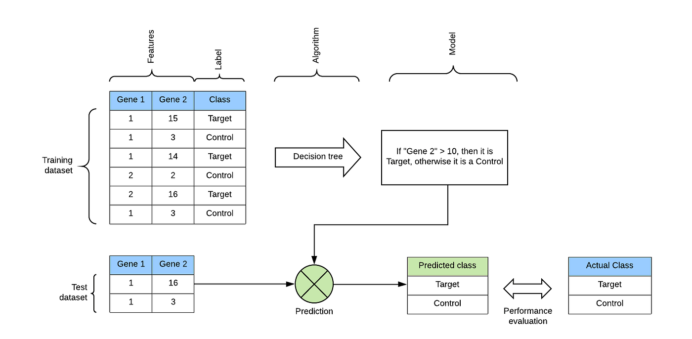 Machine Learning in bioscience. Understanding the basic concepts of ML ...