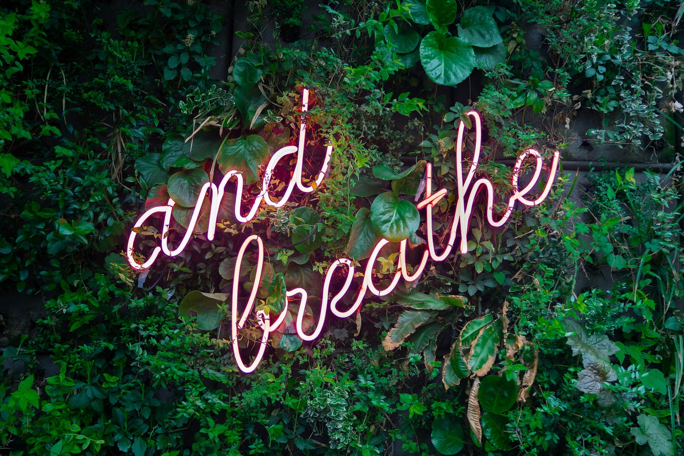 Neon sign reading and breathe surrounded by greenery