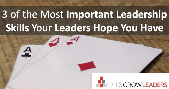 3 Most Important Leadership Skills