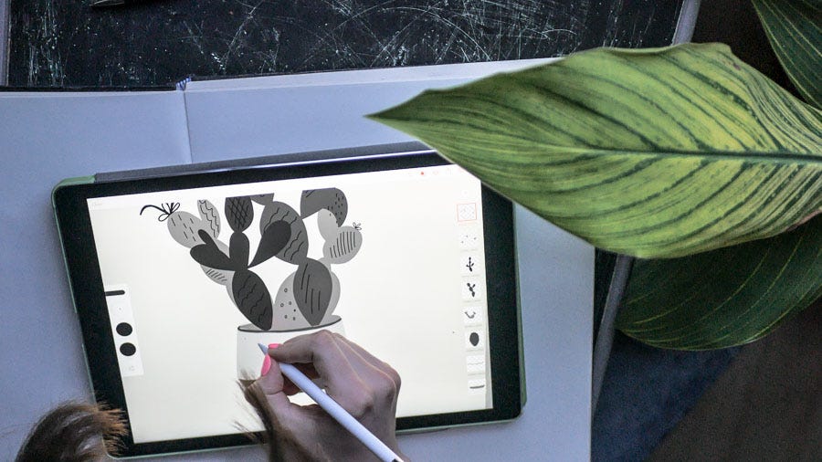 An Illustrator S Review Of Ipad Pro Vs Wacom Plus My Favourite Drawing Apps By Anya Kuvarzina Medium