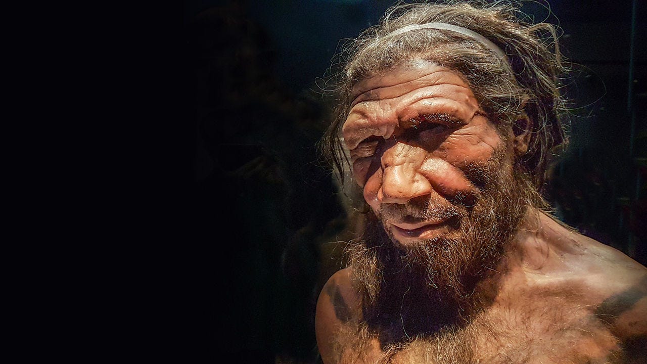 Who Lived On Earth 100 000 Years Ago By Sal Writes Lessons From History Medium