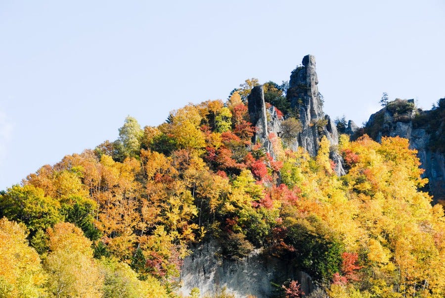 日本旅遊 18日本全國紅葉全攻略 北海道 東京 京都等地賞楓必到景點 By Kkday Hong Kong Medium