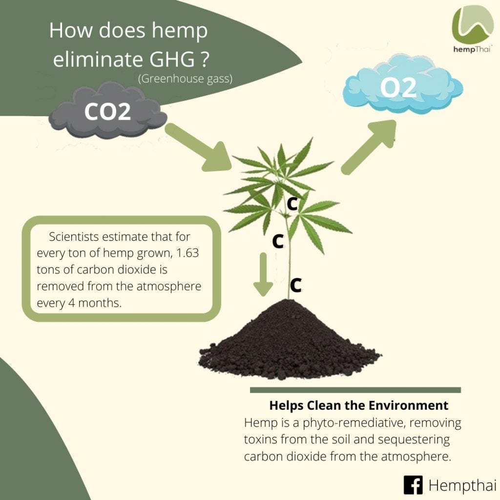 Is hemp the answer to combatting climate change? | by Thred Media | Dec,  2022 | Medium