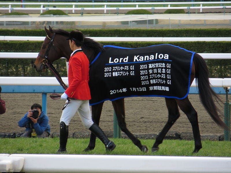 賽馬娘考察 榮光背後 杏目アーモンドアイ 在賽馬娘動畫中 特別週和一眾馬娘都為了成為三冠馬娘而奮鬥 當中的三冠 指的是皐月 By Vannzic Medium