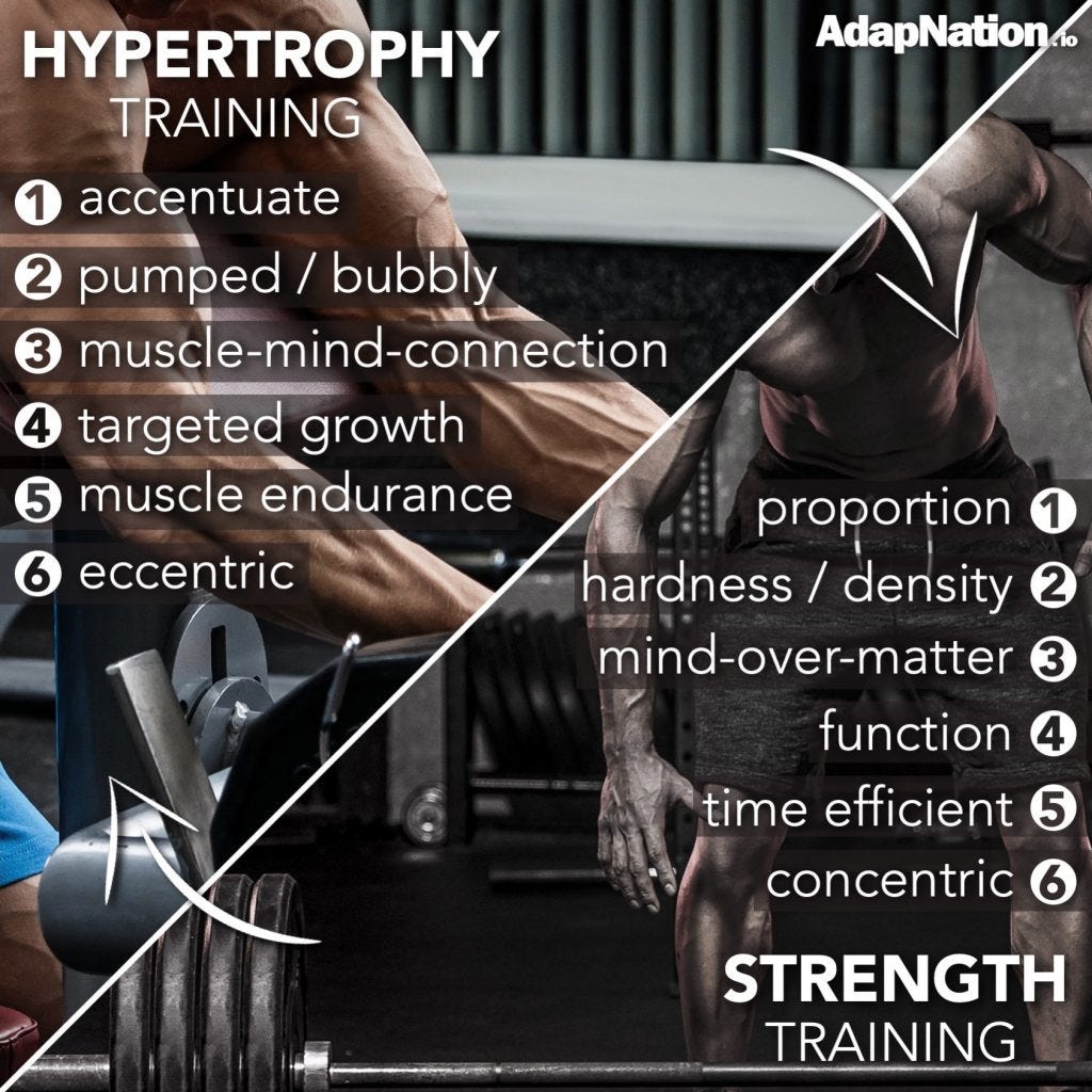 or Hypertrophy Training — which one should you do? | by Steve | Medium