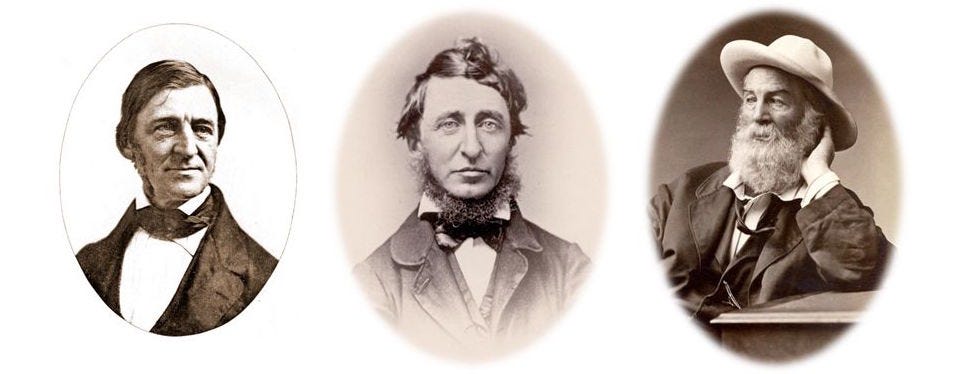 Identity through Experience: An Analysis of the Life Narratives of