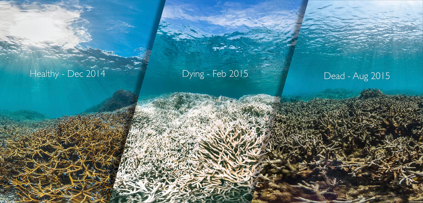BBC Earth’s Framing of Climate Change in Regards to the Decline of the Great Barrier Reef From