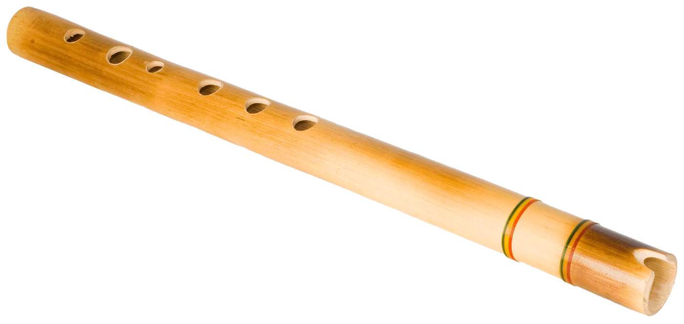 What musical instruments can you play. Смотреть фото What musical instruments can you play. Смотреть картинку What musical instruments can you play. Картинка про What musical instruments can you play. Фото What musical instruments can you play