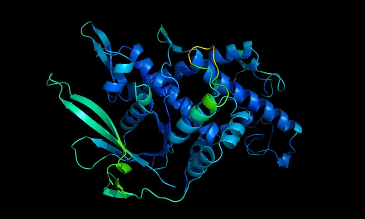 Protein folding