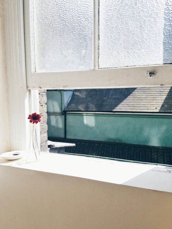 Four Methods To Improve Your Home s Indoor Air Quality By IA Mold
