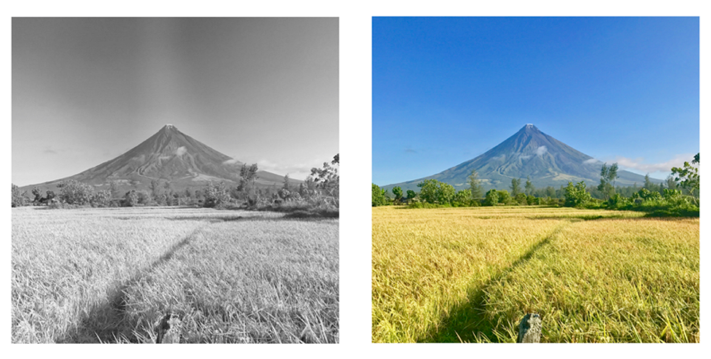 Building An Image Colorization Neural Network Part 1 Generative 