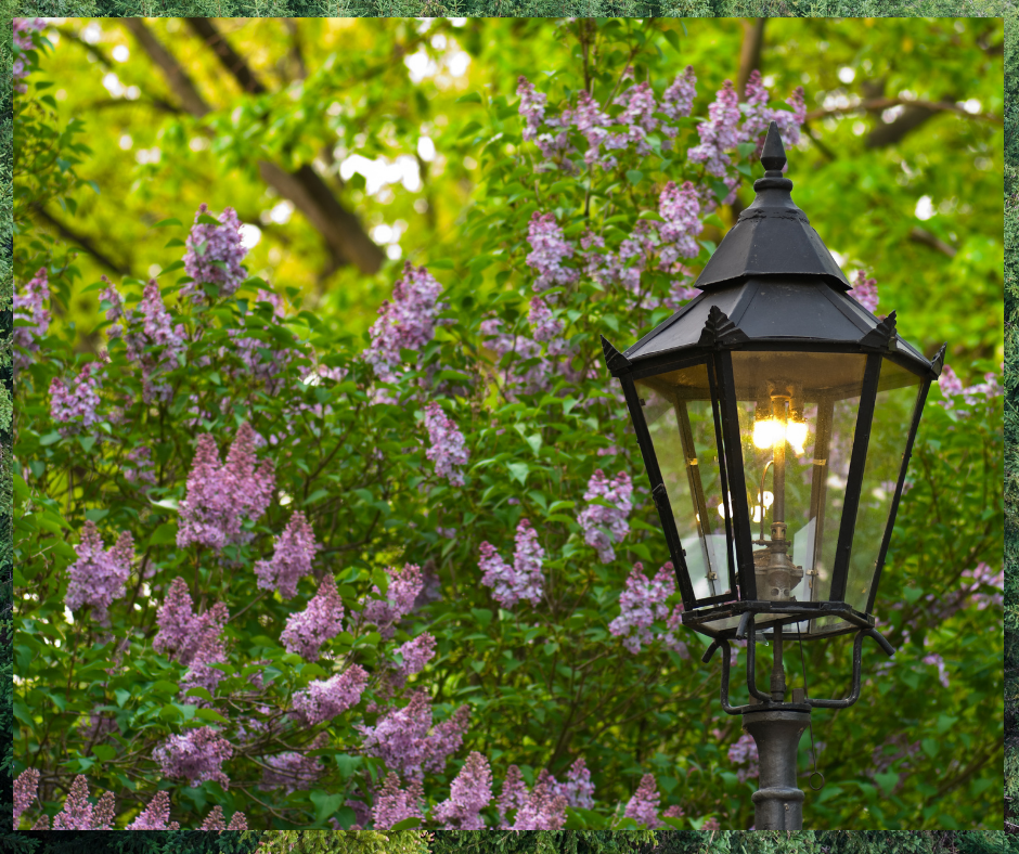 A peaceful garden with a comforting gaslight fitting in with the serene and beautiful landscape.