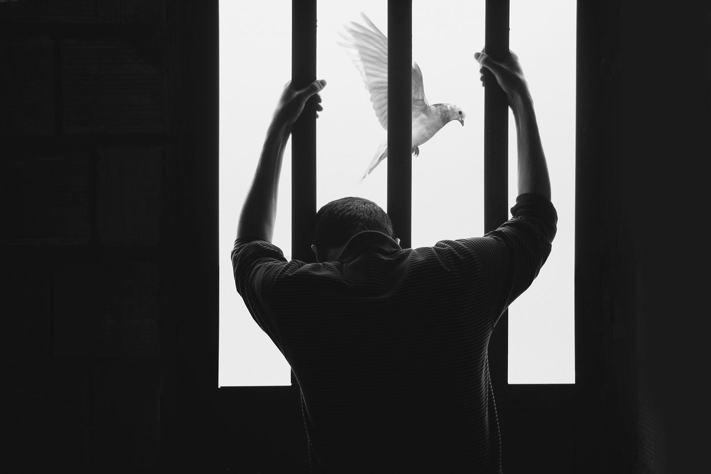 The silhouette of a person standing behind jail bars and a curious white dove flying by on the other side.