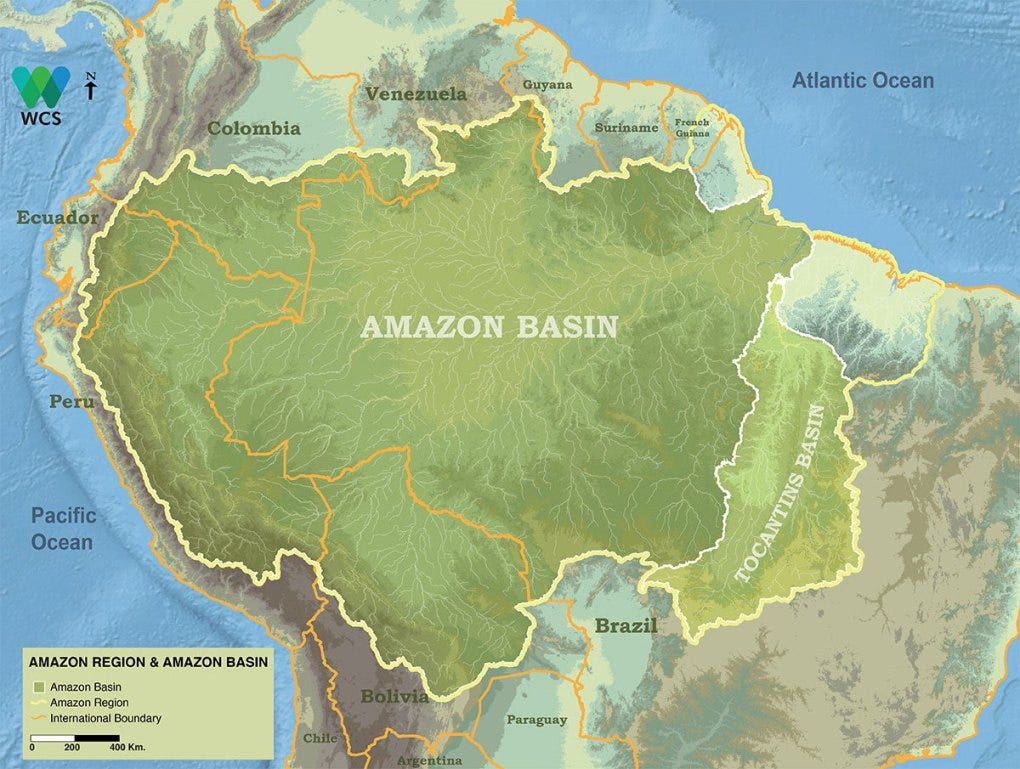 An Analysis of Amazonian Forest Fires | by Matthew Stewart, PhD Researcher  | Towards Data Science