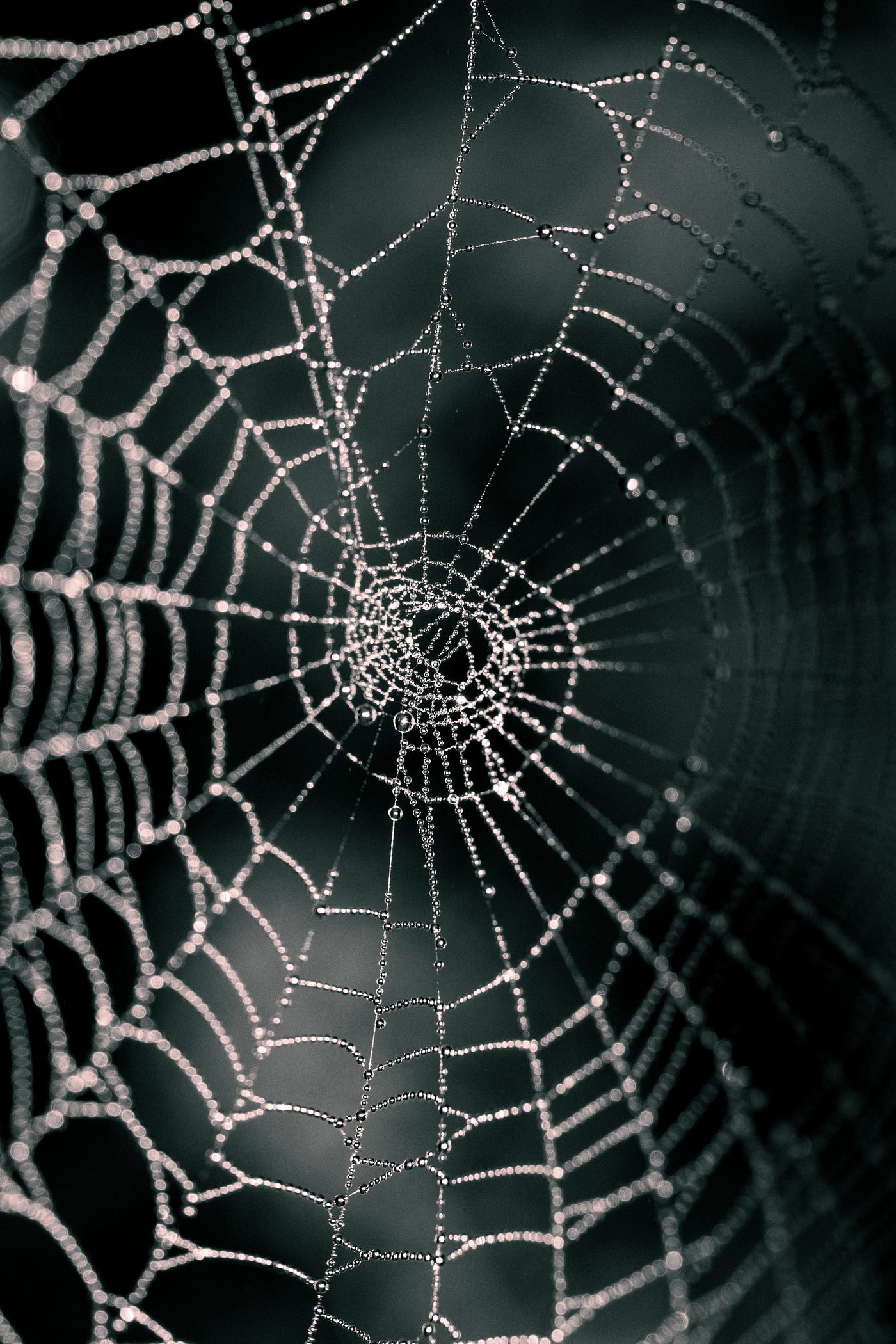 Web Crawler