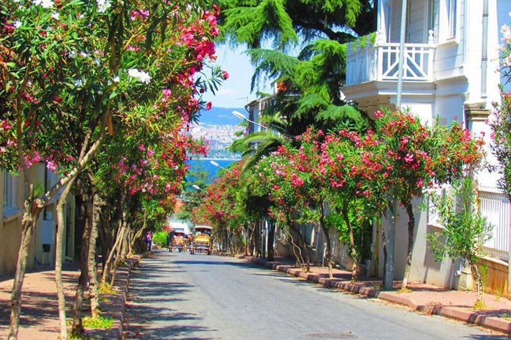 The largest of Istanbul's Princes Islands; Büyükada | by Being a Tourist in  Turkey | Medium