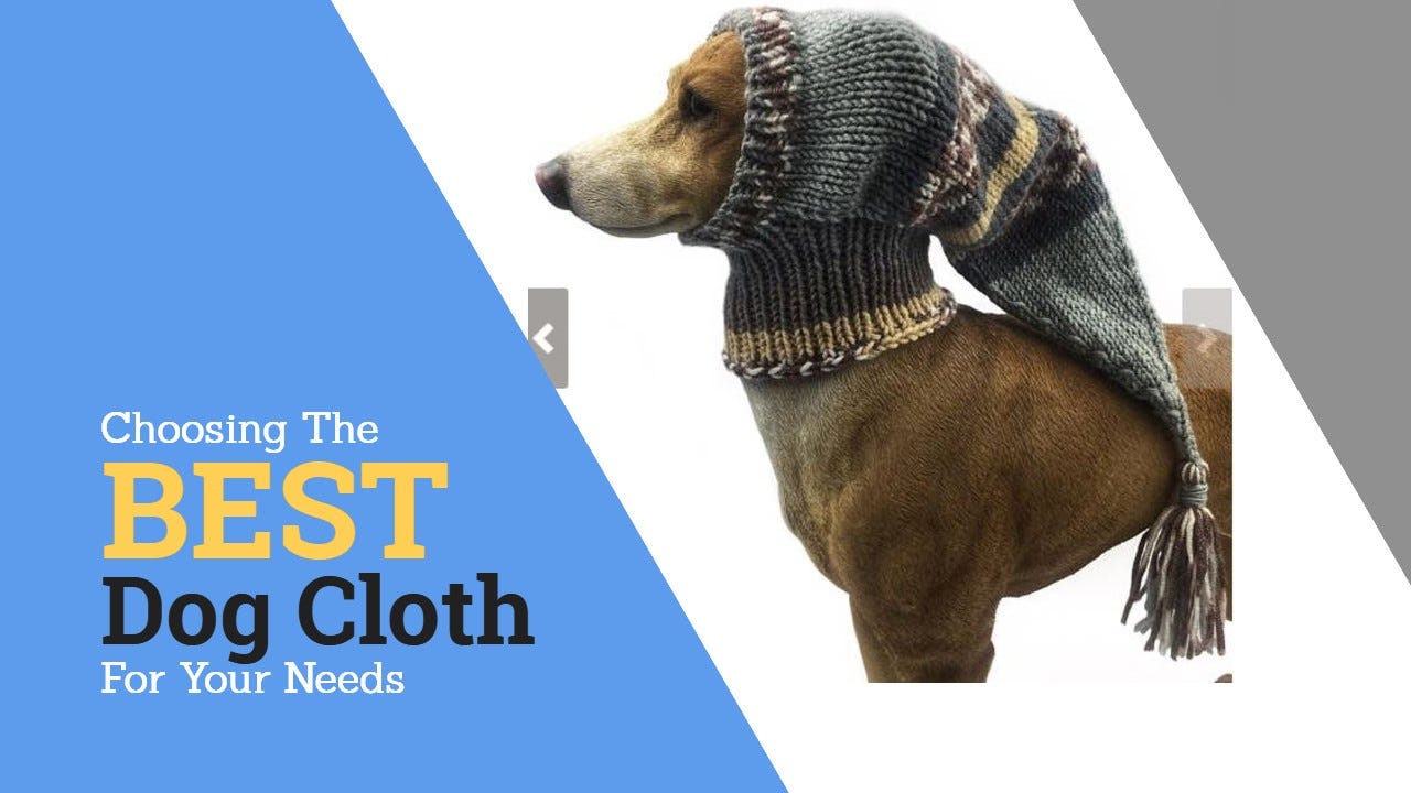 best dog snowsuit