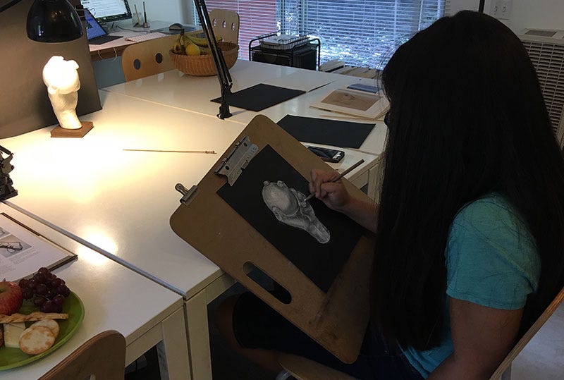 The Magic of Realistic Form. INSPIRATION, STUDENT WORK | by Scribbles ...