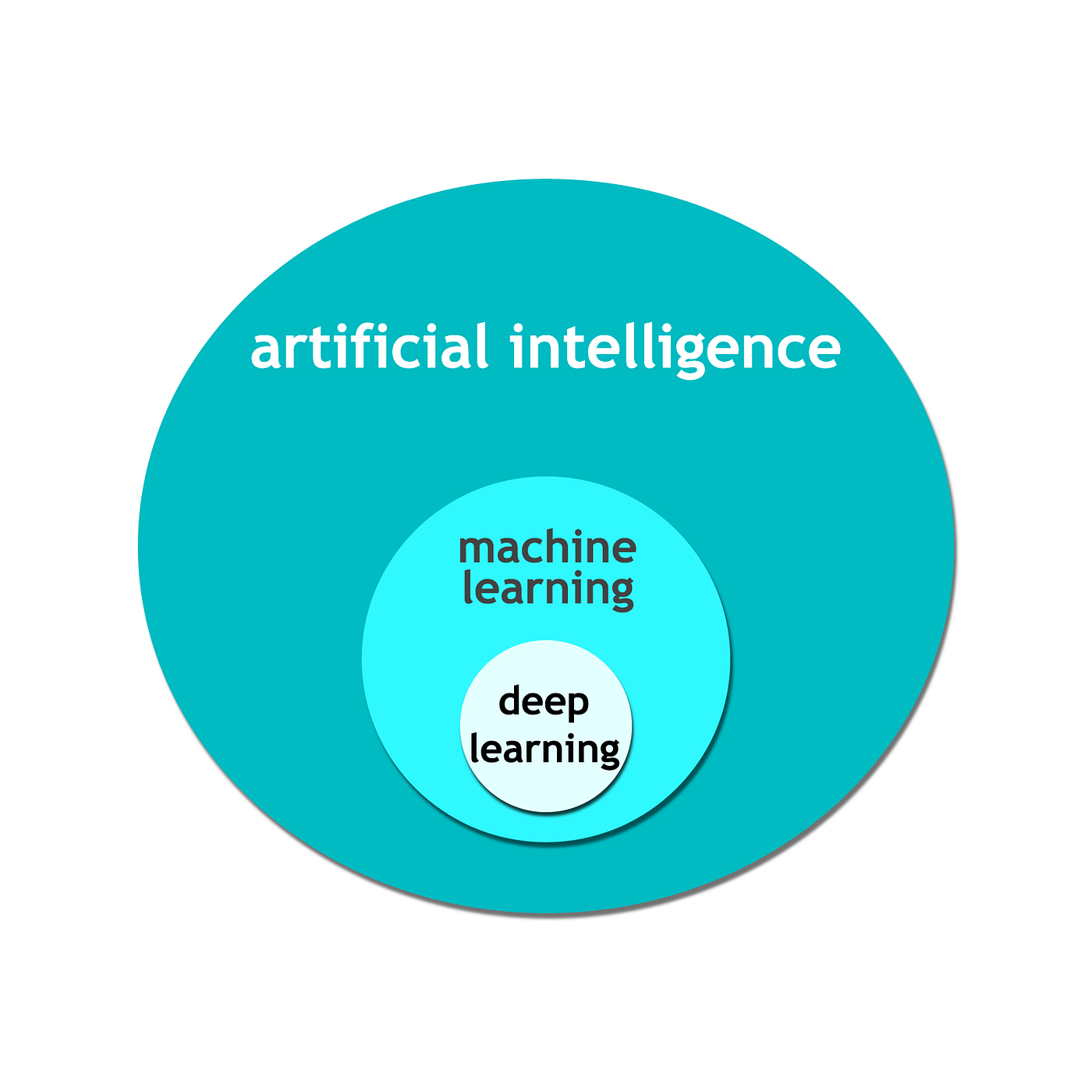 AI and data science, what is it?. Introduction | by Lumio | Medium