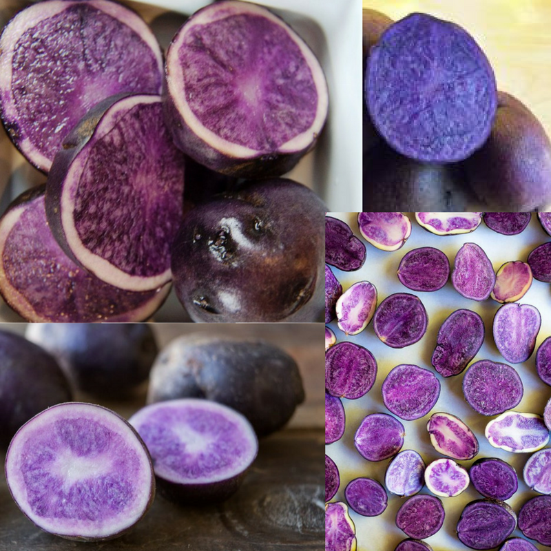 Best Purple Mashed Potatoes. My love for potatoes runs deep, I am… by
