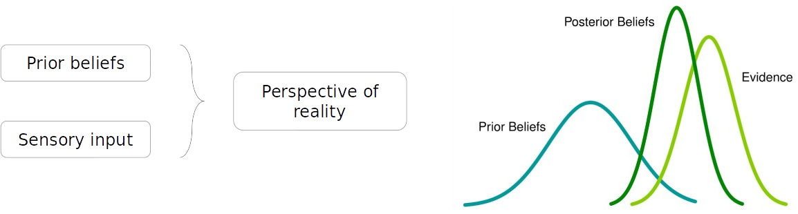 The role of Predictive Coding Theory in Schizophrenia Hallucinations ...