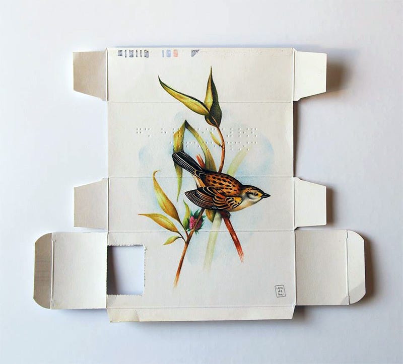 The contrast between man-made & nature is often portrayed through but not in a that is as obvious as Sara Landeta's birds on drug boxes. | by Galerie Project