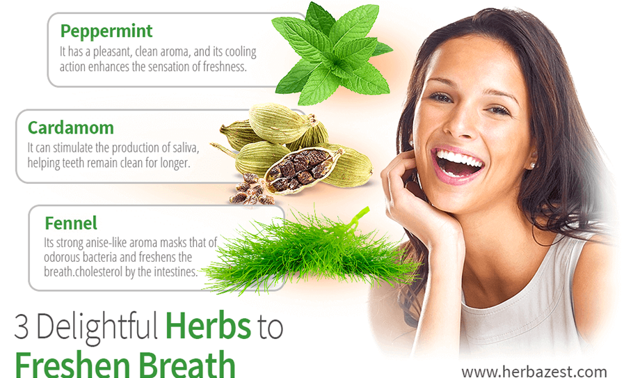 15 WAYS TO MAKE YOUR BREATH SMELL GOOD by Ananya Grewal Medium